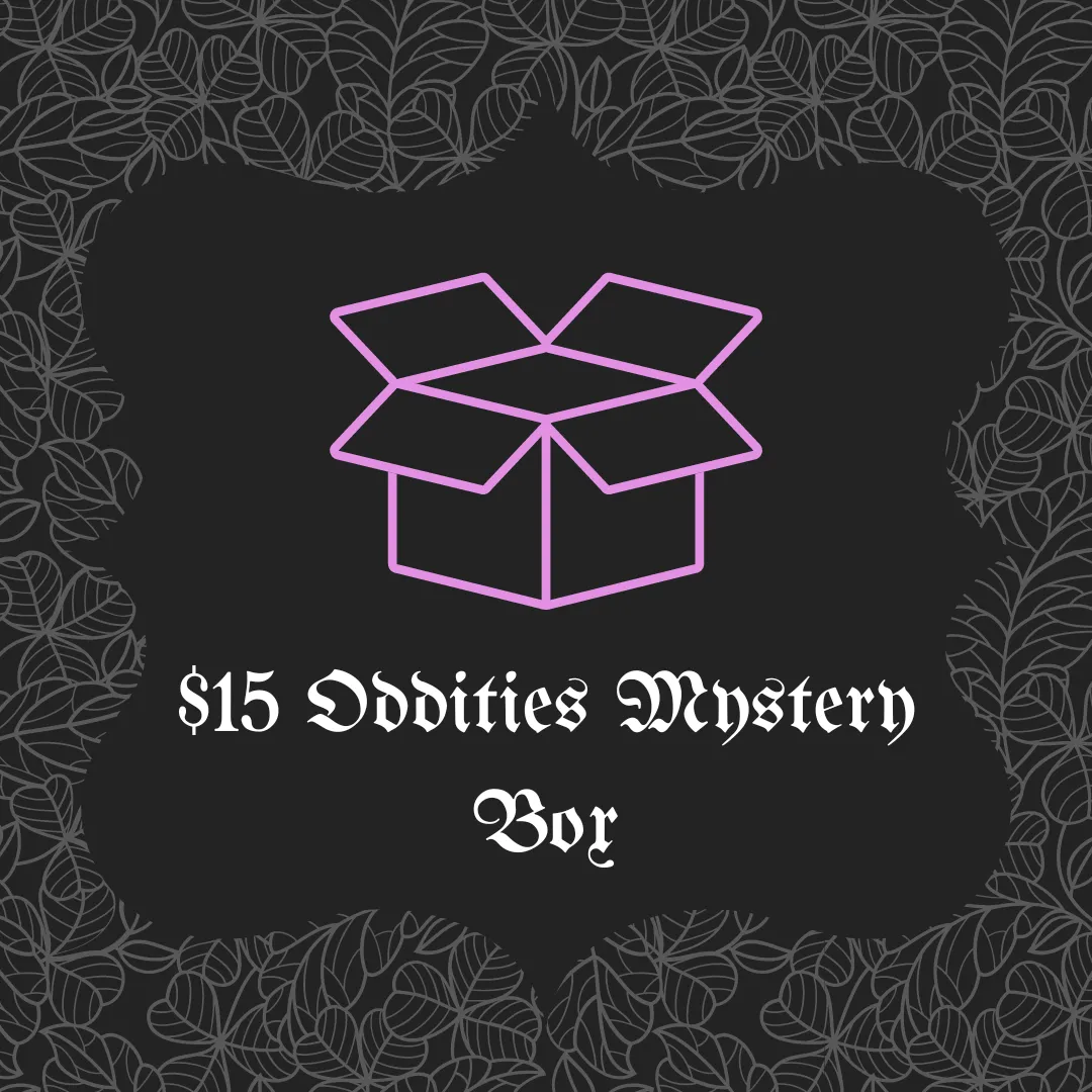 $15 Oddities Mystery Box