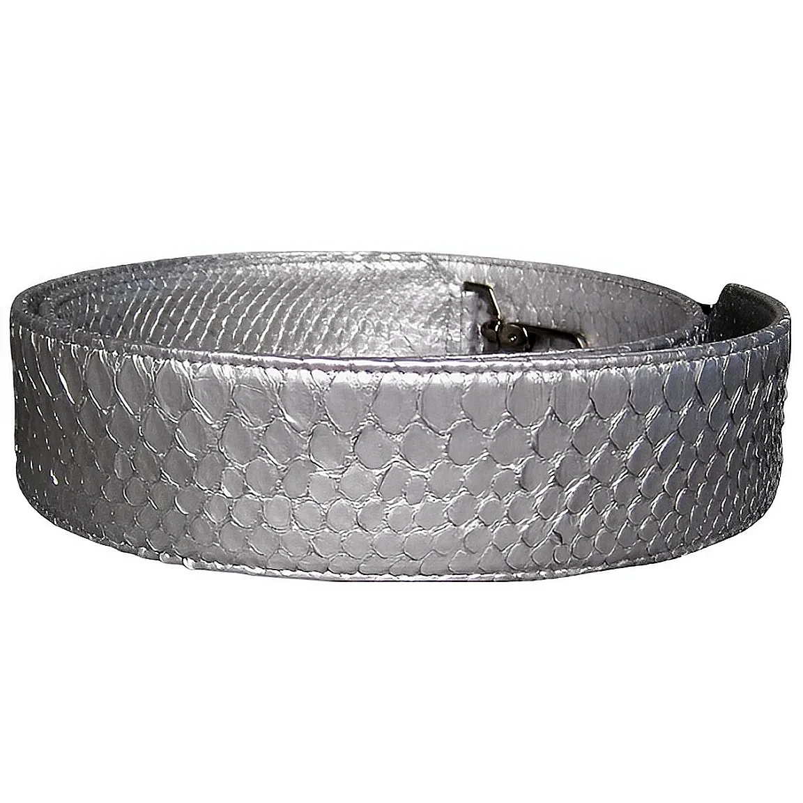 Silver Bag Strap