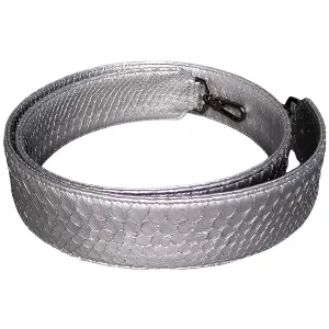 Silver Bag Strap