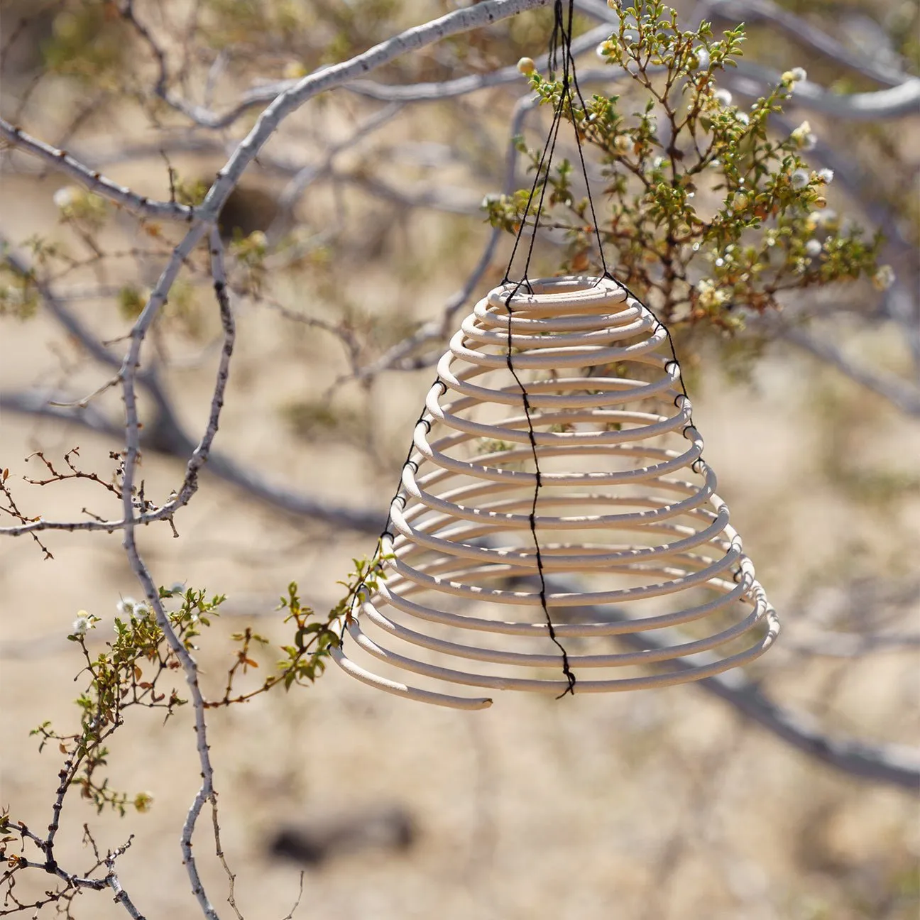 Small Citronella Coil