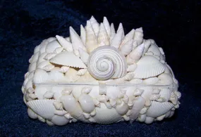 White Shell Box - Small